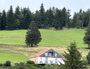 Maison d'Hôtes des Hauts de la Piquante Pierre Basse-Sur-Le-Rupt